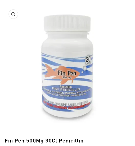 Fish penicillin - Ringtails and Tall Tales Hunting Dog Supply