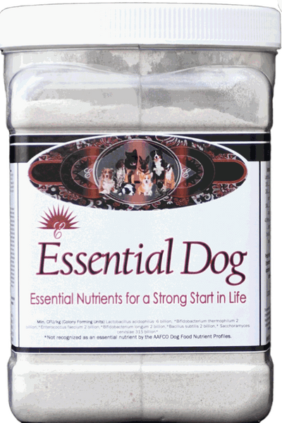Essential dog - Ringtails and Tall Tales Hunting Dog Supply