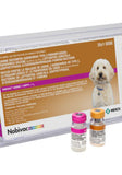 NOBIVAC CANINE 1-DAPPv+L4 (9-WAY SHOT) DOG VACCINE