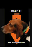 LOCK DOWN COLLAR