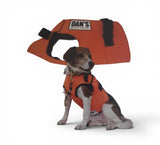 DAN'S BRUSH BUSTER DOG VEST