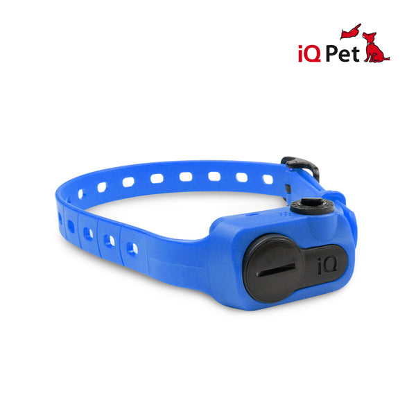 Dogtra IQ NO BARK COLLAR - Ringtails and Tall Tales Hunting, Dog Supply, and Taxidermy