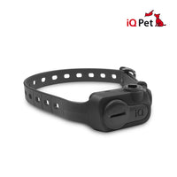 Dogtra IQ NO BARK COLLAR - Ringtails and Tall Tales Hunting, Dog Supply, and Taxidermy