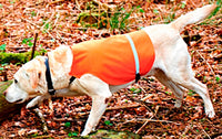 Gun Dog Vest Orange with Reflective Tape Band - Ringtails and Tall Tales Hunting, Dog Supply, and Taxidermy
