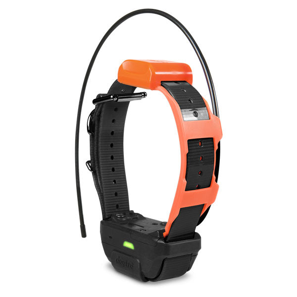 Dogtra PATHFINDER TRX ADDITIONAL GPS-ONLY COLLAR - Ringtails and Tall Tales Hunting, Dog Supply, and Taxidermy
